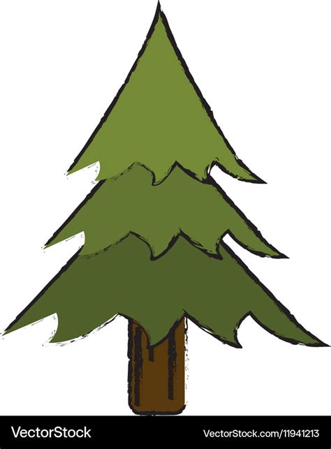 Drawing pine tree forest camping icon Royalty Free Vector