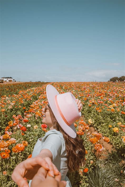 Best flower fields in California: Everything you need to know for visiting