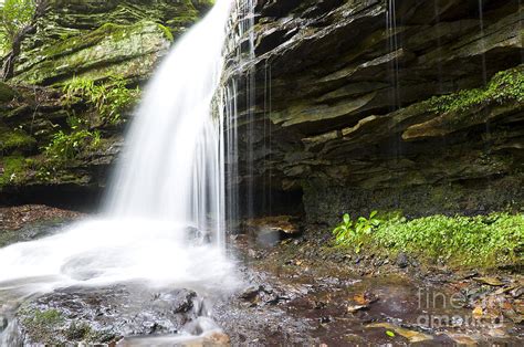 Monongahela National Forest Waterfall Photograph by Thomas R Fletcher ...