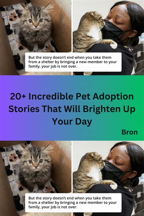 20 incredible pet adoption stories that will brighten up your day – Artofit