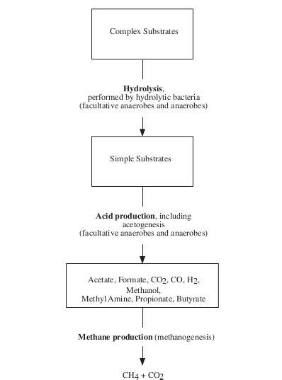 Energy Blog: Anaerobic Digestion Stages