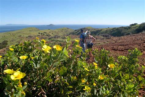 Hiking Santa Cruz Island - Channel Islands National Park (U.S. National ...