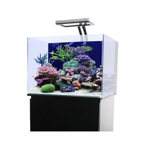 JBJ 45 Gallon Rimless Cube (Aquarium Only) | Premium Aquatics