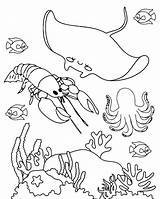 Marine Life coloring pages sketch template