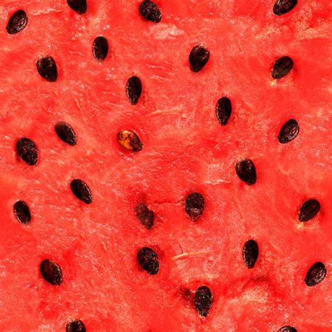 Royalty Free Watermelon Texture Pictures, Images and Stock Photos - iStock