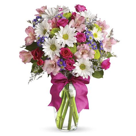 Daisy Flower Bouquet | Best Flower Site