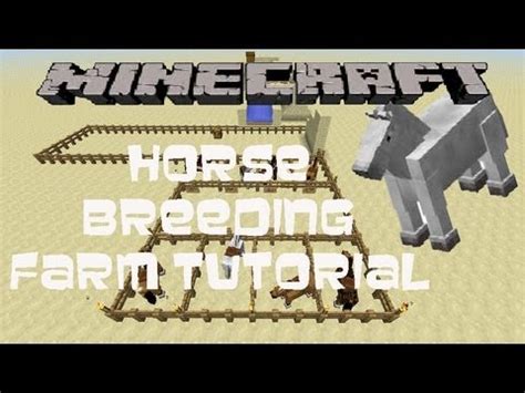 Minecraft Horse Breeding Farm Tutorial (Works in 1.8) - YouTube