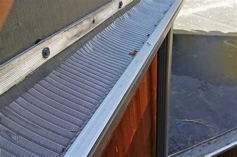 Membrane Roof – Raptor Gutter Guard®