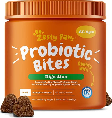 The Best Probiotics For Dogs - Dogtime