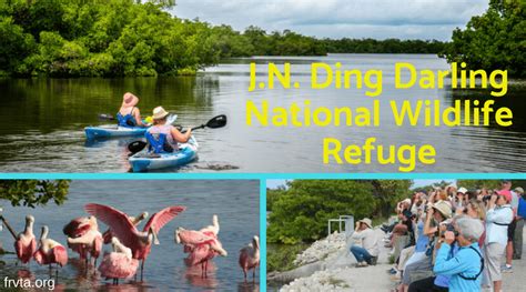 J.N. Ding Darling National Wildlife Refuge - Florida RV Trade AssociationFlorida RV Trade ...