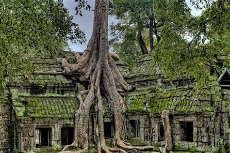 Restoring The Ancient Angkor Wat | Geography Scout