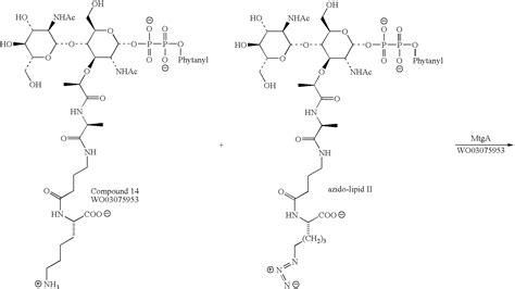 Polymer of Lipids | Macromolecules, Polymer, Compounds