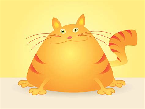 Royalty Free Fat Cat Clip Art, Vector Images & Illustrations - iStock