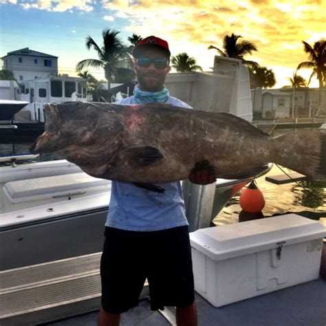 Grouper Fishing Charter – M and M Fishing Charters