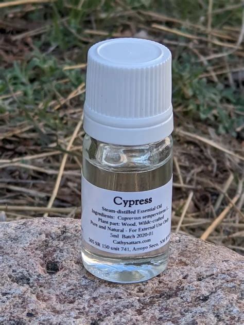 Cypress Essential Oil (Organic, Wild-Crafted, Origin: France) | Cathy's Attars