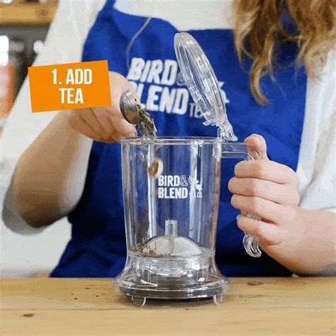 Brewdini Gravity Steeper | Bird & Blend Tea Co.