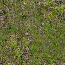 Forest Ground Textures - moss 2.png | OpenGameArt.org