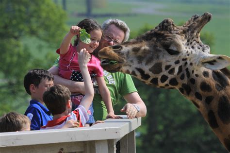 Longleat Safari and Adventure Park, Wiltshire | Adventure park, Safari park, Wiltshire