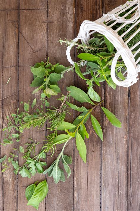 Herbs and Spices for Cooking Italian Recipe - An Italian in my Kitchen