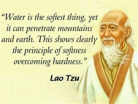 Kindness | Lao tzu quotes, Wisdom quotes, Inspirational quotes