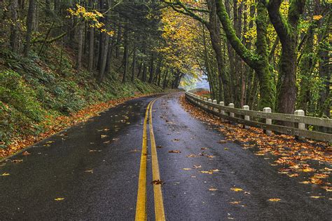 Historic Columbia River Highway Photograph by Mark Kiver