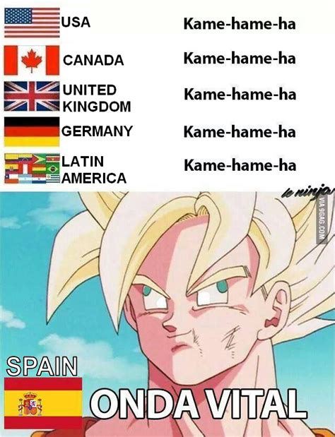 Do not tell me, I have you ruin this whole translation | Kamehameha | Know Your Meme