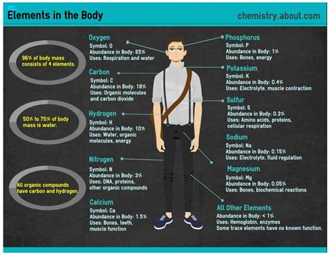 Elements Of The Human Body | MedicineBTG.com