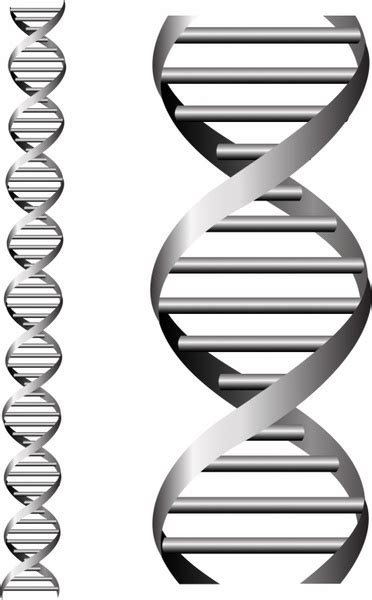 Dna double helix free vector download (184 Free vector) for commercial use. format: ai, eps, cdr ...