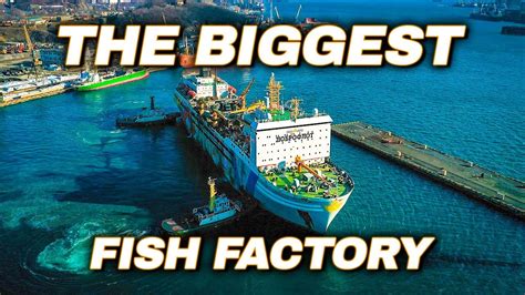 World's LARGEST Floating Fish Processing Vessel // Episode 1 - YouTube