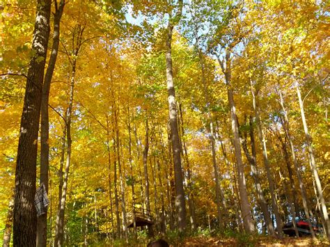 Fall Foliage in Connecticut - Weather Photo (32933145) - Fanpop