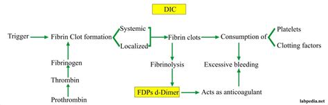 Fibrinogen Degradation products (FDP) or Fibrin split products (FSP ...