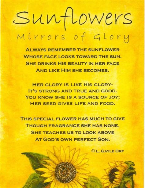 Mirrors of Glory | Sunflower quotes, Sunflower poem, Sunflower