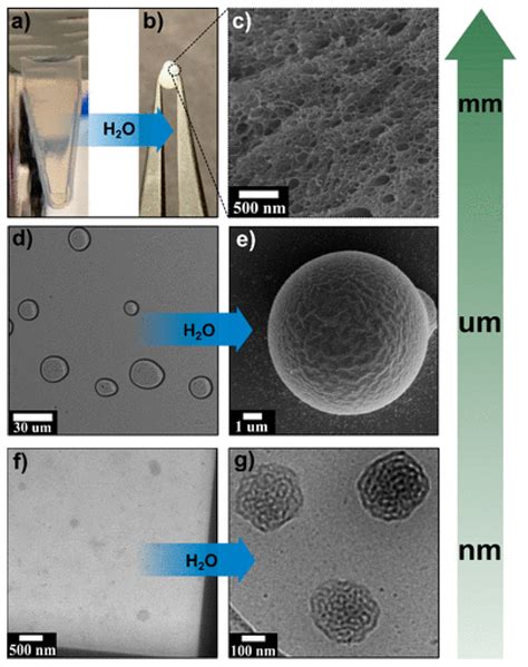 Colloids and Interfaces | Free Full-Text | An Overview of Coacervates: The Special Disperse ...