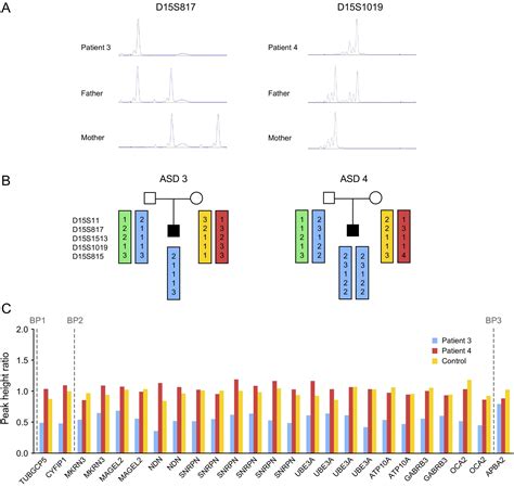 Screening for Genomic Rearrangements and Methylation Abnormalities of ...