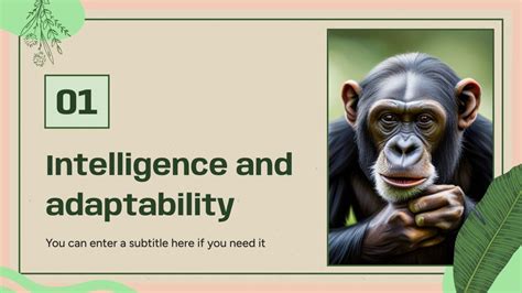 Biology Major for College: Chimpanzee Intelligence