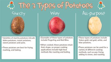 Potatoes | Varieties, Uses, Recipes | Kids Are Great Cooks