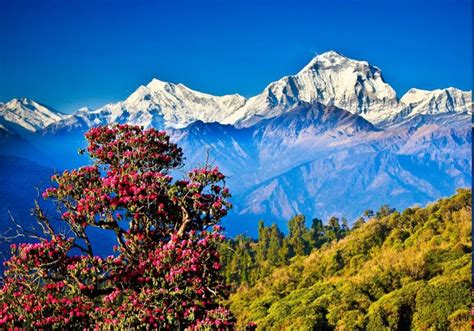 Himalayas Desktop Wallpapers - Top Free Himalayas Desktop Backgrounds - WallpaperAccess ...