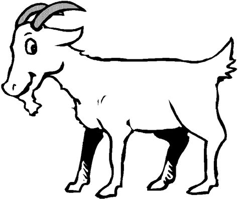 Mammals Coloring Pages Goats - all about cute and unique animals