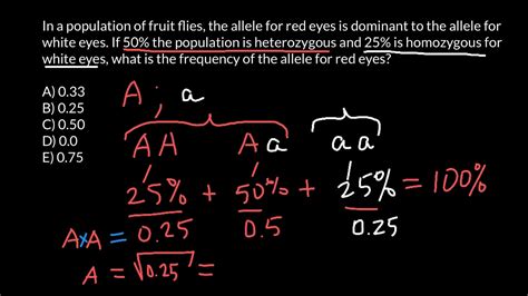 How to find frequency of the alleles in a population - YouTube