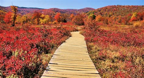 Blue Ridge Parkway Fall Color Top 20 Stops