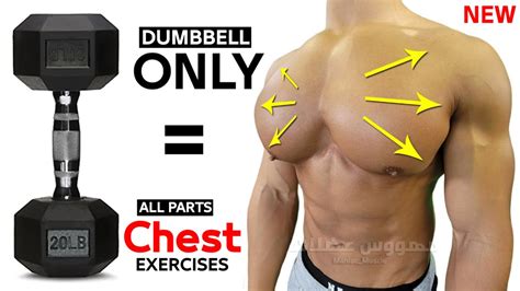 14 BEST CHEST EXERCISES WITH DUMBELLS ONLY 🎯 - YouTube