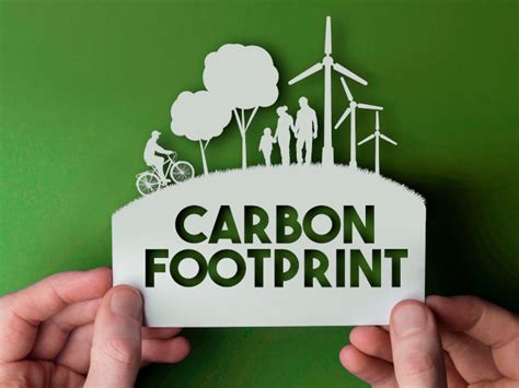 What Is Carbon Footprint | Organic Facts