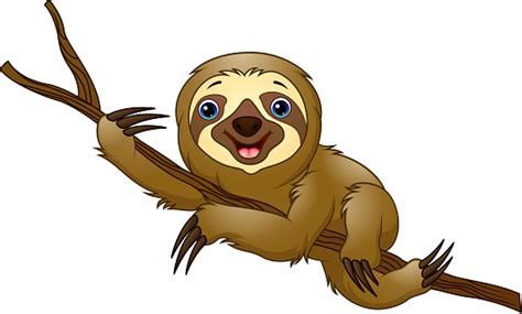 Cartoon Sloth On A Tree Branch Stock Illustration - Download Image Now - iStock