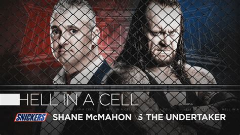 Alt Graphic: Shane McMahon vs. Undertaker Wrestlemania 32 : r ...