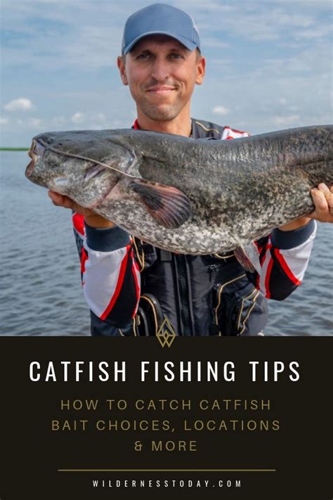 How to Fish for Catfish and Catch Them: Fishing Tips, Tricks & More ...