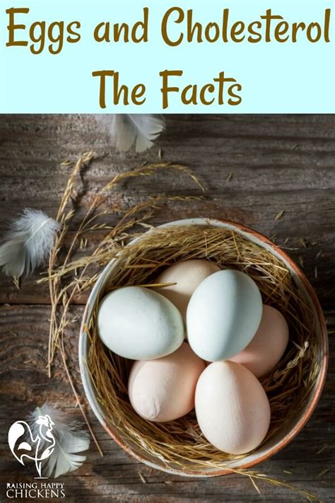 Cholesterol in eggs: can it kill you?