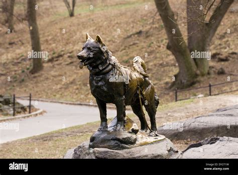 Bronze statue of the sled dog BALTO in New York City's Central Park ...