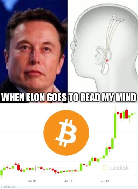 Elon musk neuralink memes