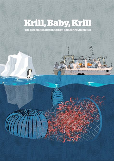 Antarctic Krill Food Chain