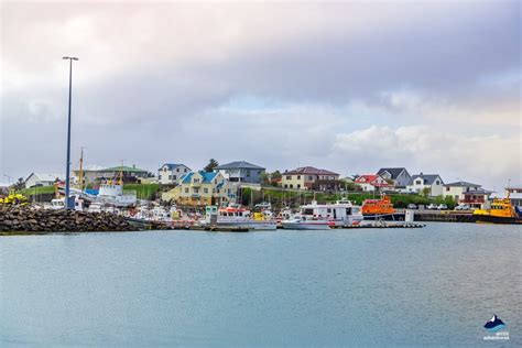 Höfn in Iceland | Arctic Adventures